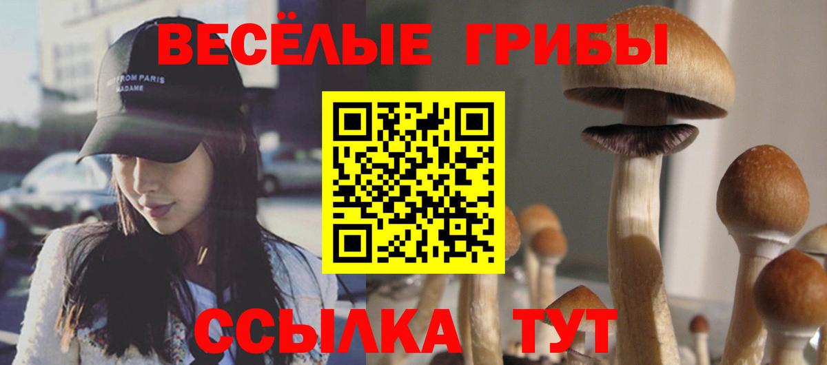 Псилоцибиновые грибы ЛСД  Вход с VPN  Пыть-Ях 